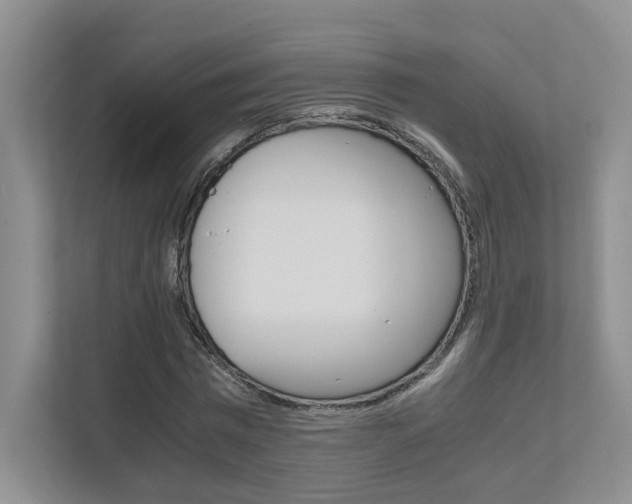 X0000111680777200907171504