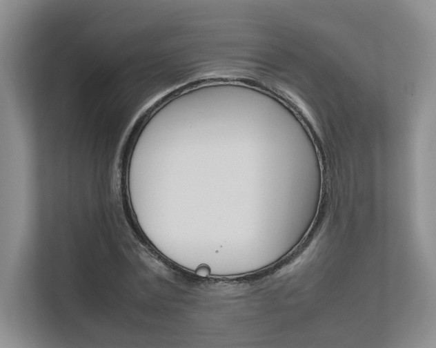 X0000111680779200907171504