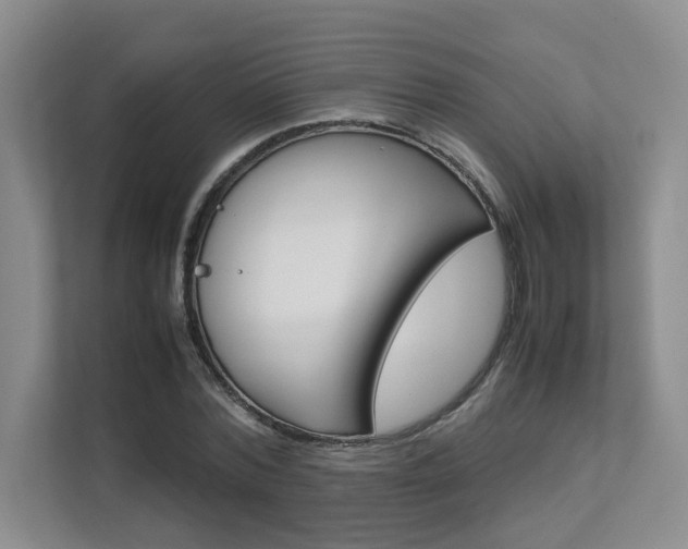X0000111680780200907171504