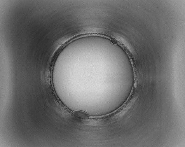 X0000111680781200907171504
