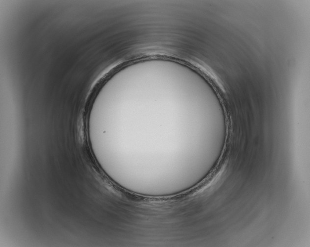 X0000111680782200907171503