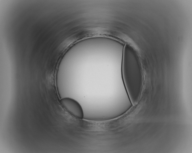 X0000111680785200907171503