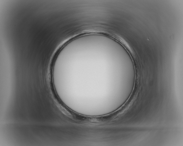 X0000111680787200907171503