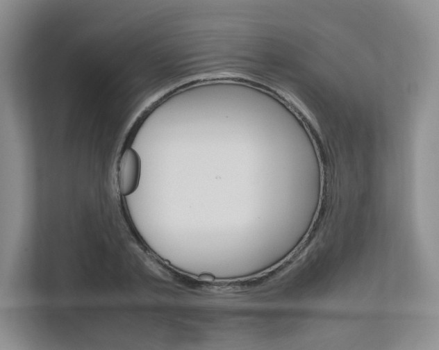 X0000111680789200907171503