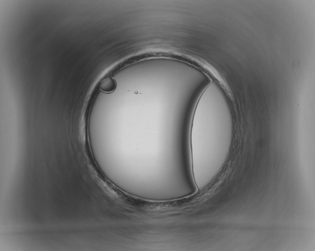 X0000111680791200907171503