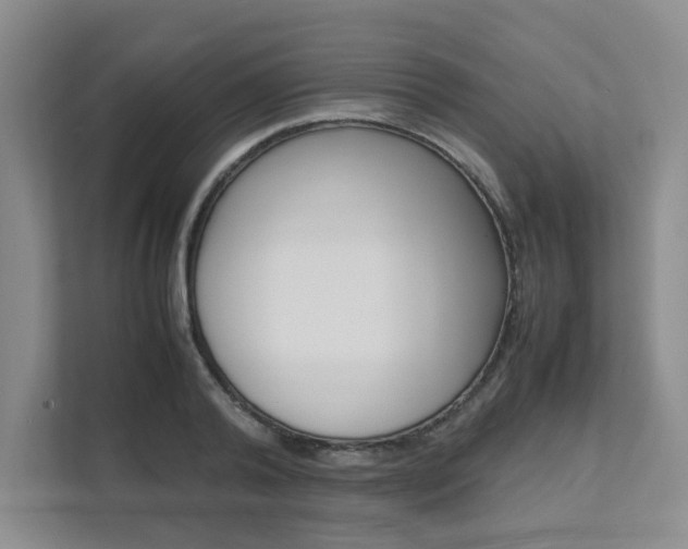 X0000111680792200907171503