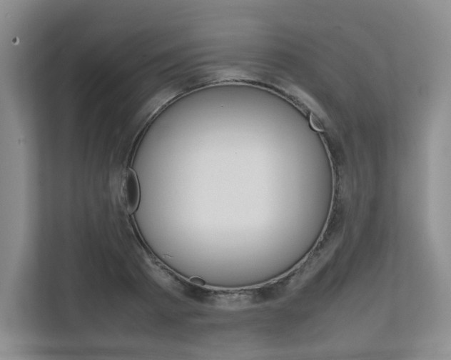 X0000111680793200907171503