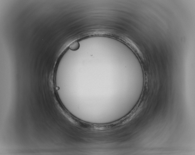 X0000111680794200907171503