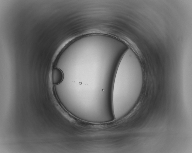 X0000111680796200907171503