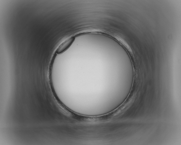X0000111680797200907171503