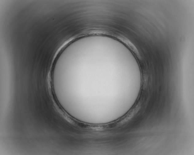 X0000111680798200907171503