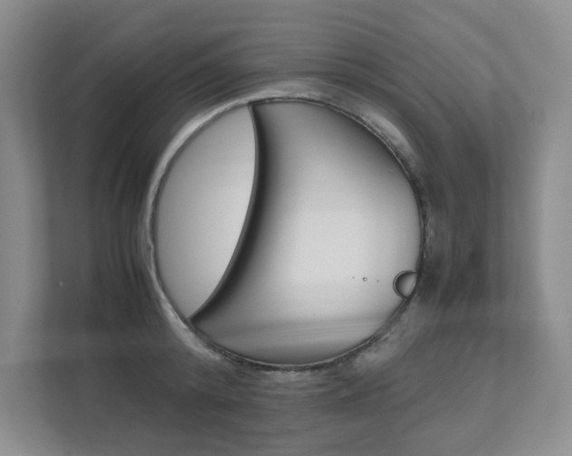 X0000111680800200907171503