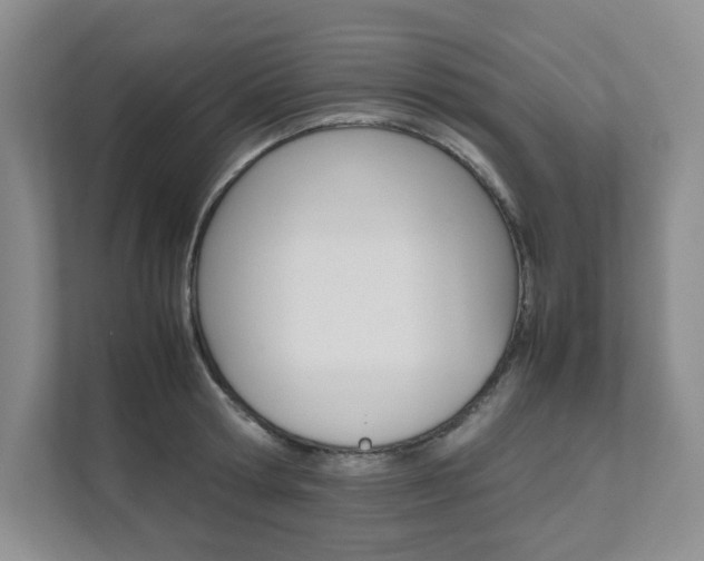X0000111680802200907171503