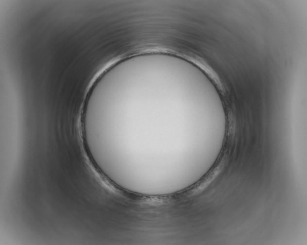 X0000111680806200907171503