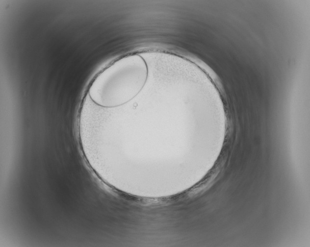 X0000111680807200907171503