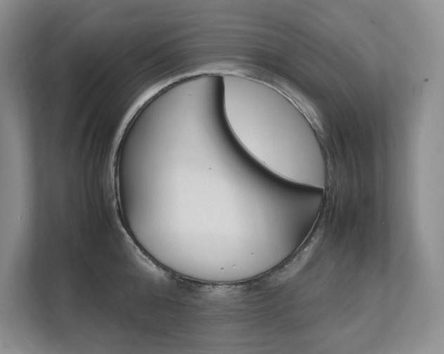 X0000111680808200907171503