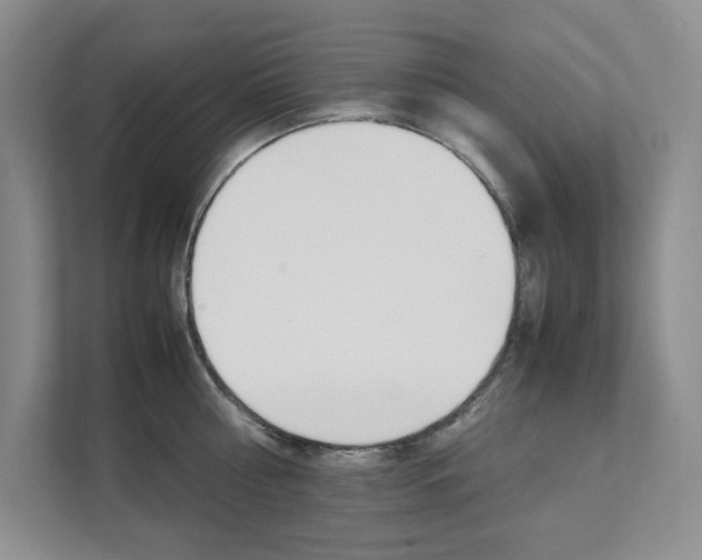 X0000111680810200907171503