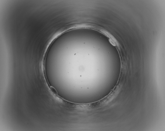 X0000111680813200907171503