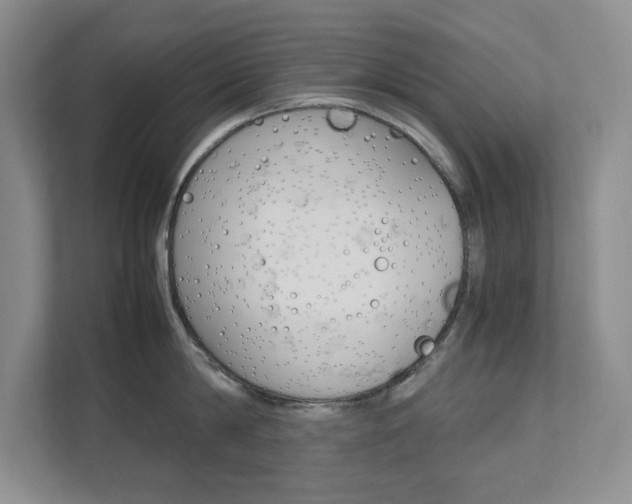 X0000111680814200907171503