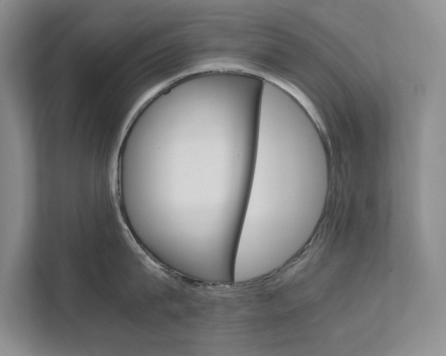 X0000111680815200907171503