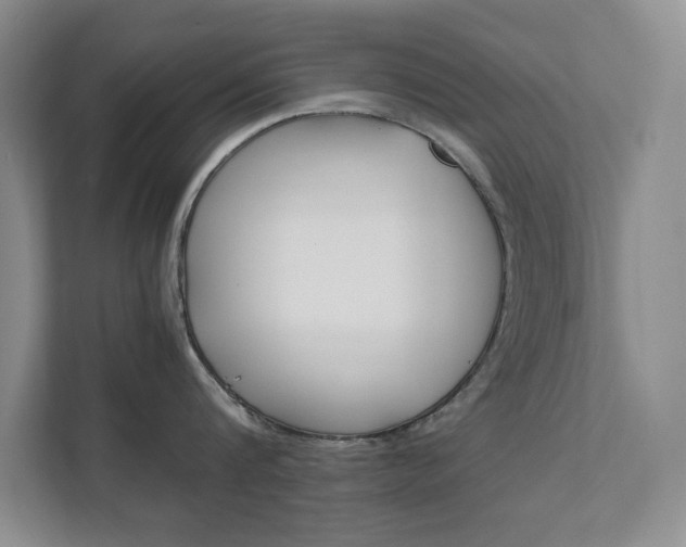 X0000111680816200907171503