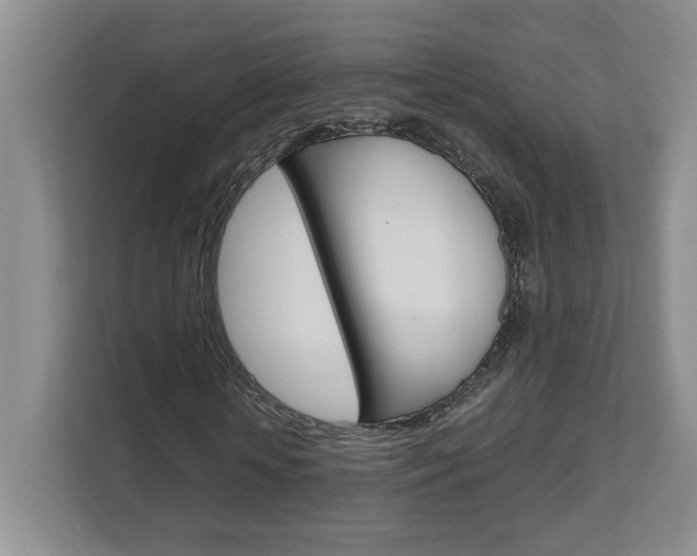 X0000111680818200907171502