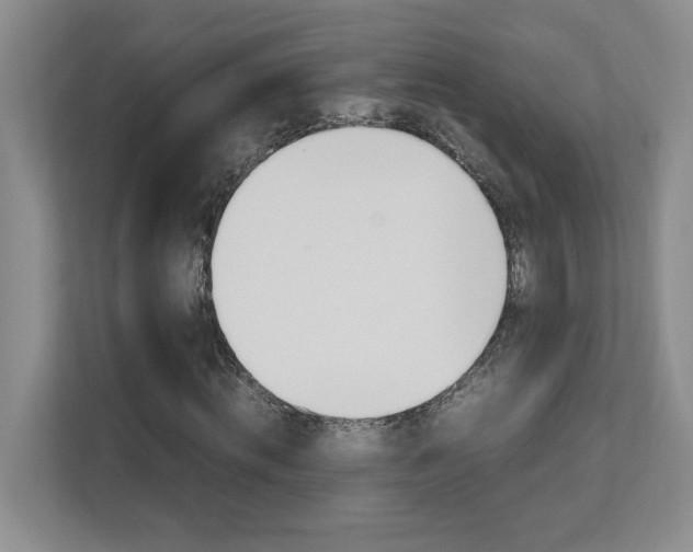 X0000111680820200907171502