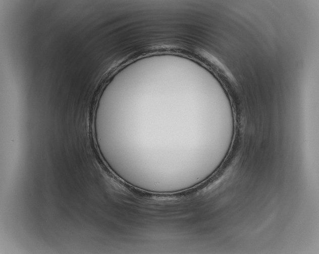 X0000111680825200907171503