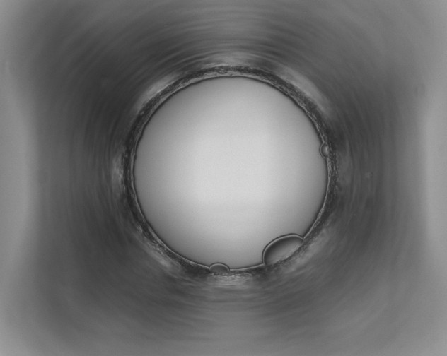 X0000111680826200907171503