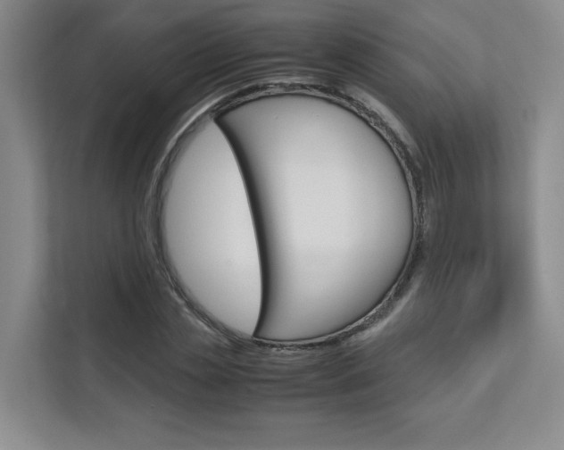 X0000111680829200907171503