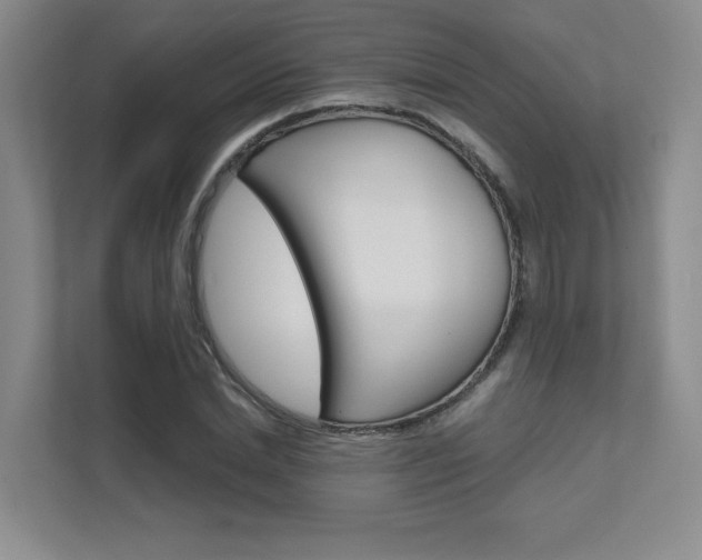 X0000111680830200907171503