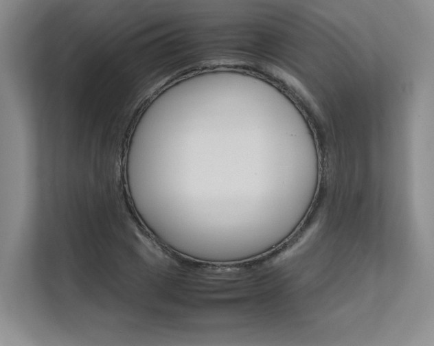 X0000111680833200907171503