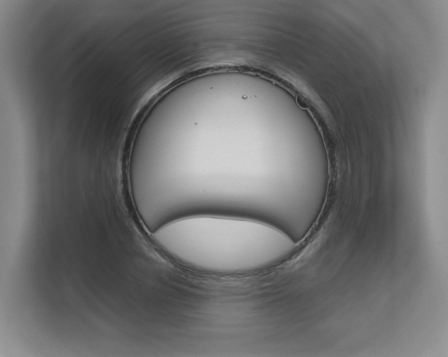 X0000111680834200907171503