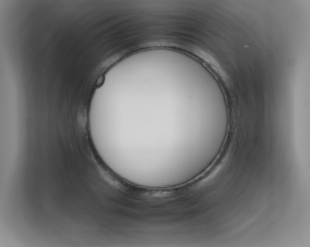 X0000111680841200907171503