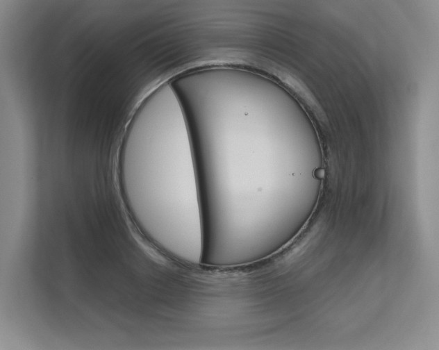 X0000111680842200907171503