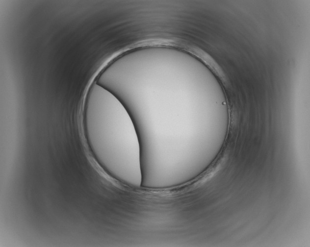 X0000111680844200907171503