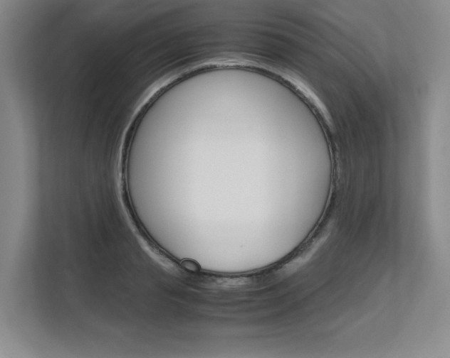 X0000111680845200907171503
