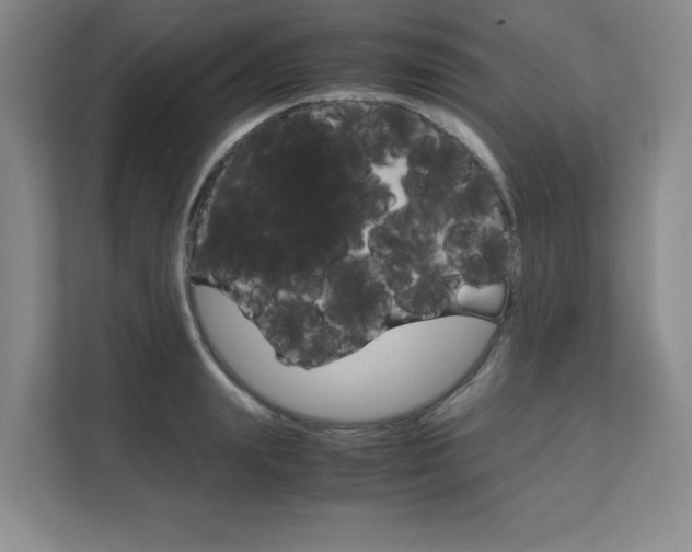 X0000111680847200907171503