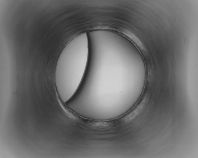 X0000111680849200907171503
