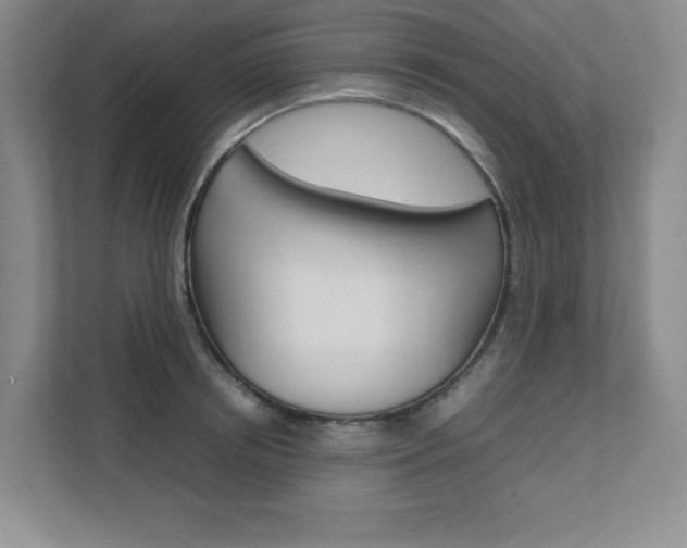 X0000111680850200907171503