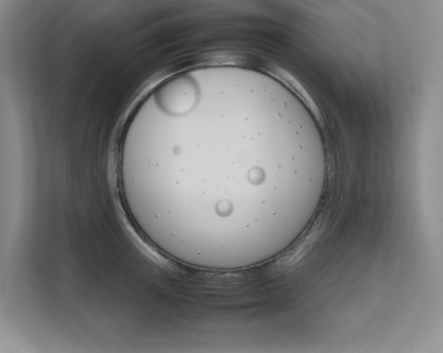 X0000111680851200907171503
