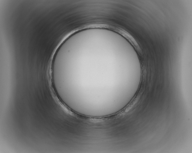 X0000111680852200907171503