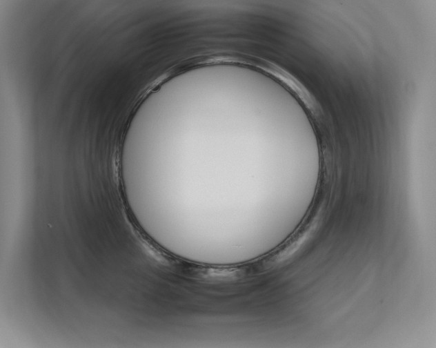 X0000111680857200907171503