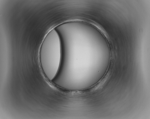 X0000111680858200907171503