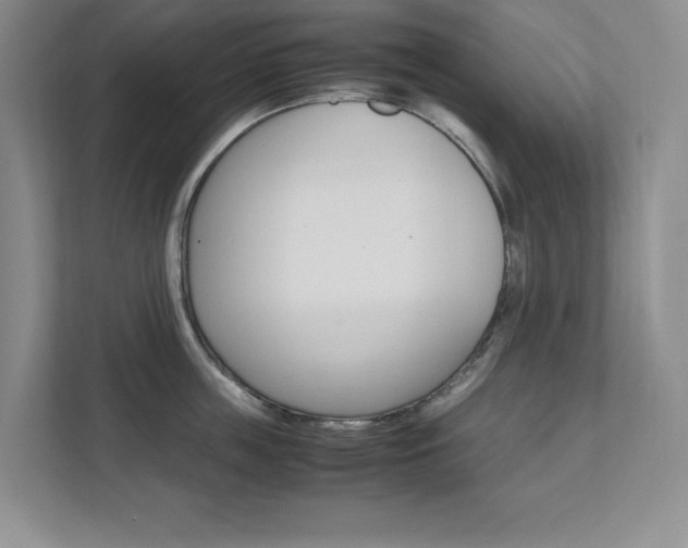 X0000111680859200907171503