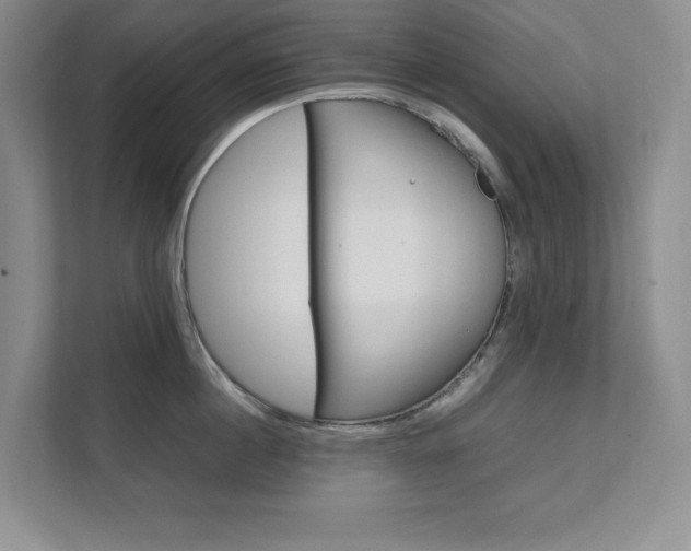 X0000111680860200907171503