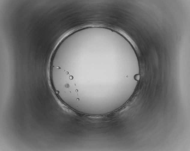 X0000111680861200907171503