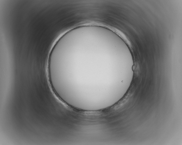 X0000111680863200907171503