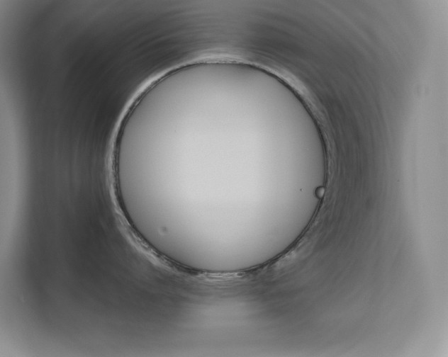 X0000111680864200907171503