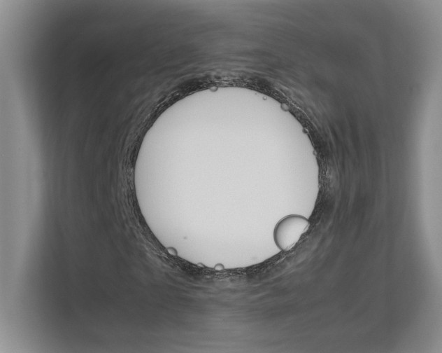 X0000111680865200907171502